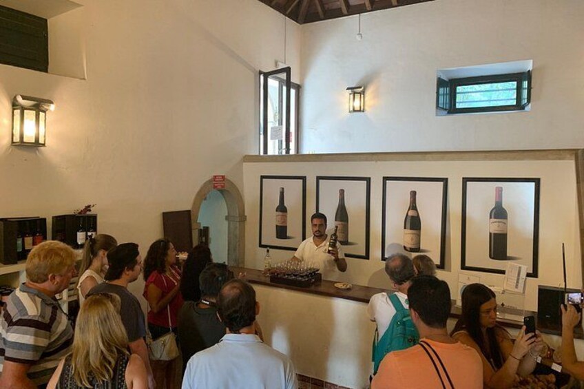 Setúbal Wine Tour with Visit and Tasting at 2 Wineries 3
