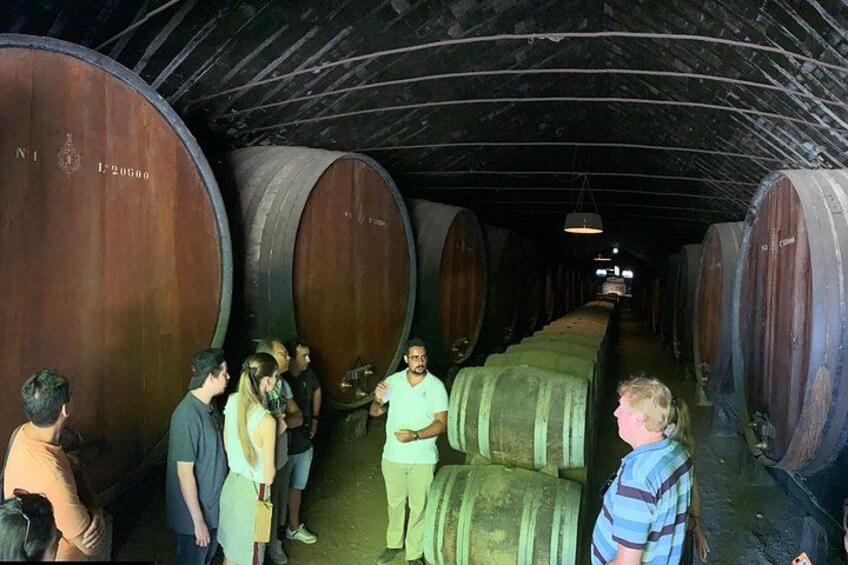 Setúbal Wine Tour with Visit and Tasting at 2 Wineries 4