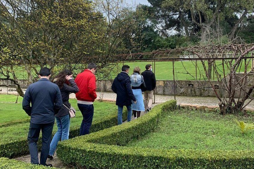 Setúbal Wine Tour with Visit and Tasting at 2 Wineries 5