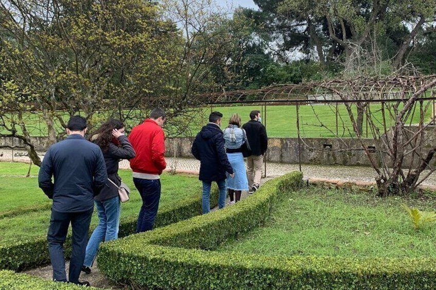 A group of people walking along a hedge-lined path in a park. 5