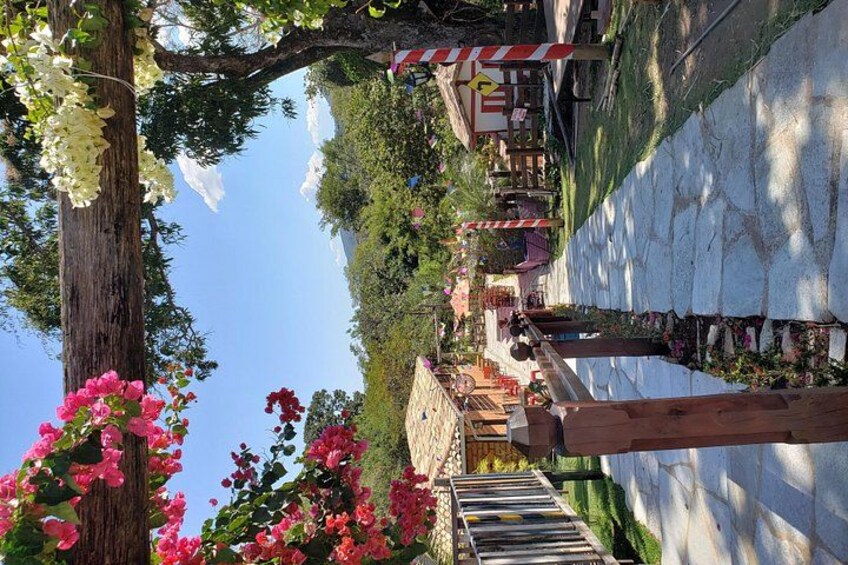 A street with a wooden fence, a tree with pink flowers, and a building with a red and white striped awning. 2
