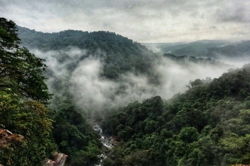 A valley with dense forest, a river, and mist-covered mountains. 2