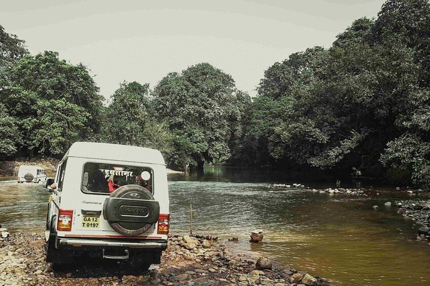 Bolero Safari To Dudhsagar Falls SLW 1