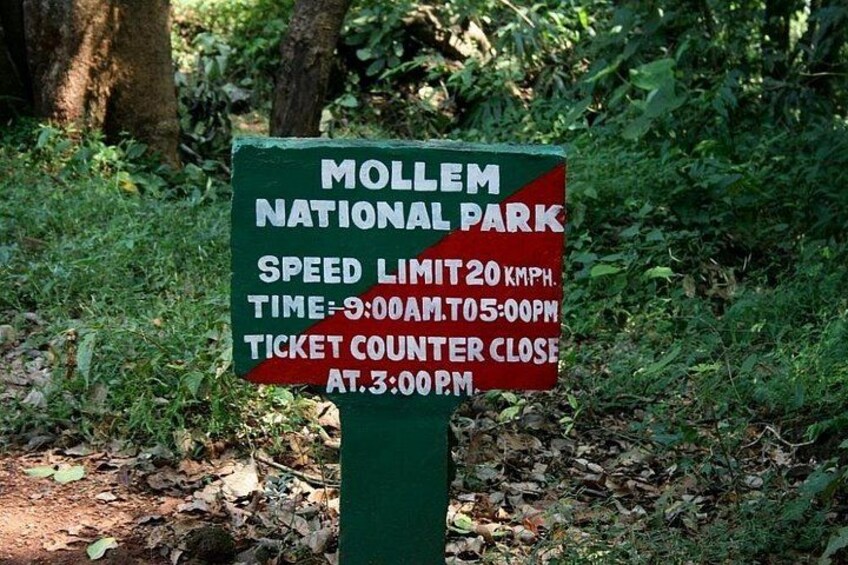 Mollem-national-park-SLW 4