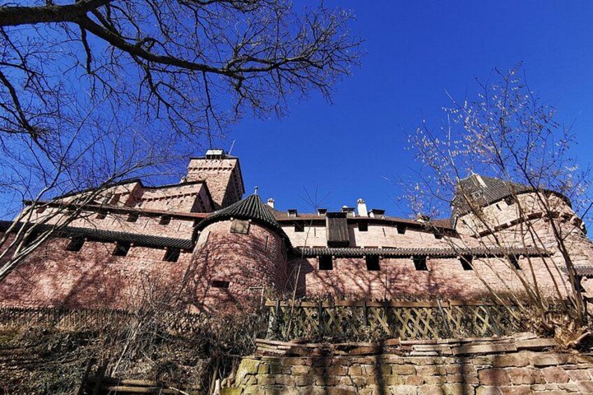 The Emblematic: visit of villages, Haut-Koenigsbourg, Wine tasting 5