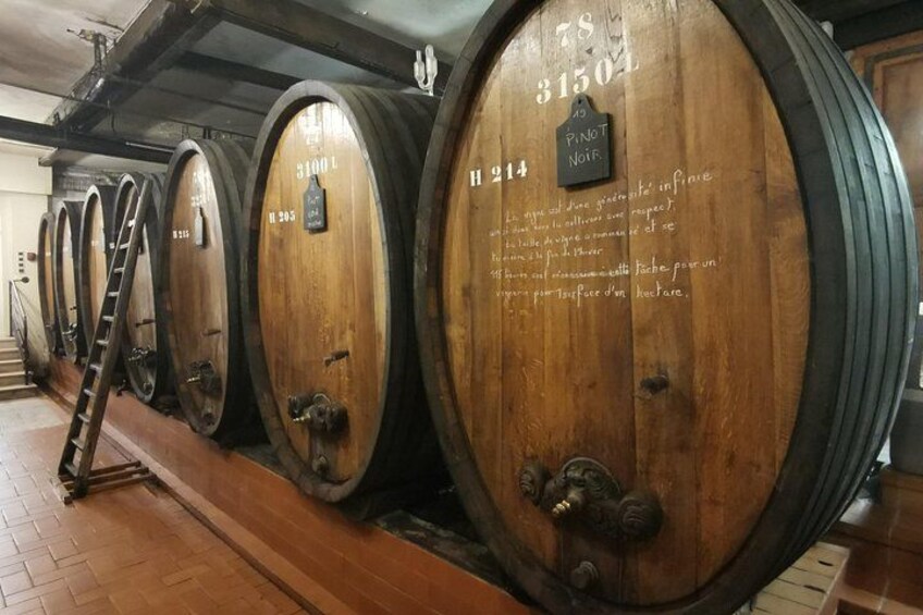 The Emblematic: visit of villages, Haut-Koenigsbourg, Wine tasting 2
