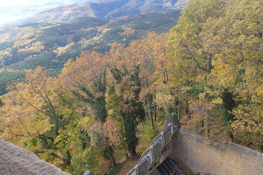 The Emblematic: visit of villages, Haut-Koenigsbourg, Wine tasting 3