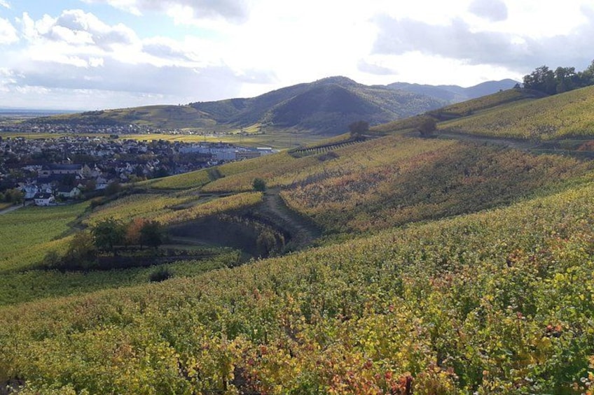 ICONICS Tour: 1/2 day on the Wine Route, visit of 2 Villages + Tasting. 2