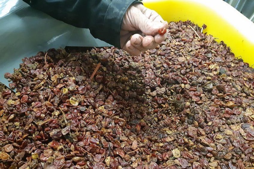 ICONICS Tour: 1/2 day on the Wine Route, visit of 2 Villages + Tasting. 2