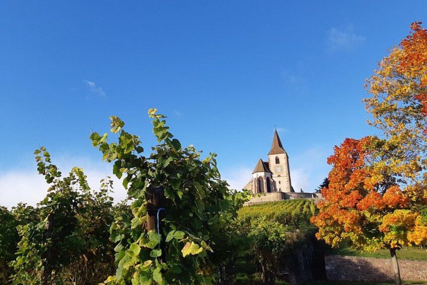 ICONICS Tour: 1/2 day on the Wine Route, visit of 2 Villages + Tasting. 1