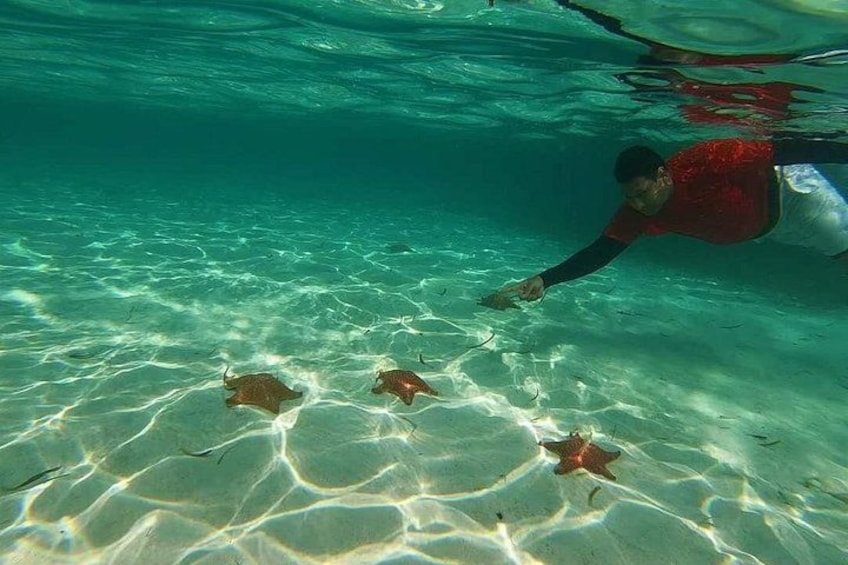A person swimming underwater with stingrays. 2