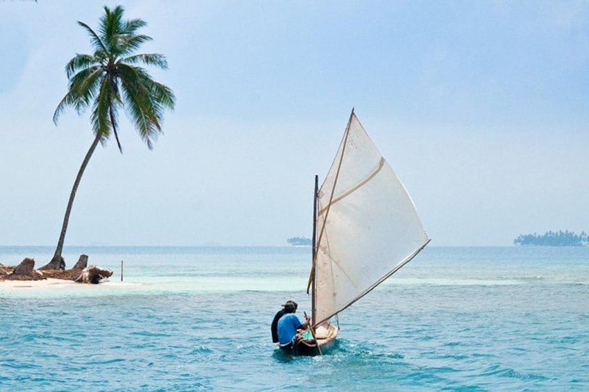 A person sailing a small boat with a sail on a calm sea, palm trees, and a distant shoreline. 4