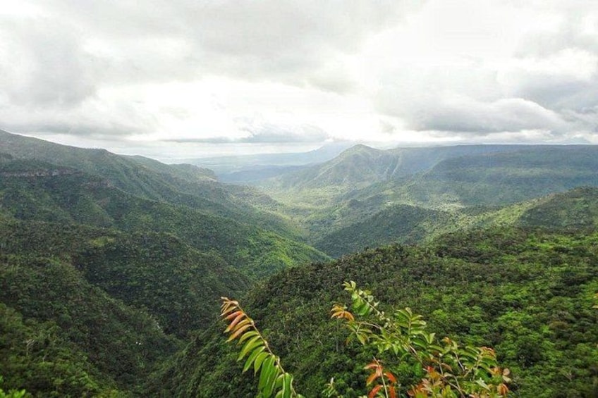 Black River Gorges National Park 4