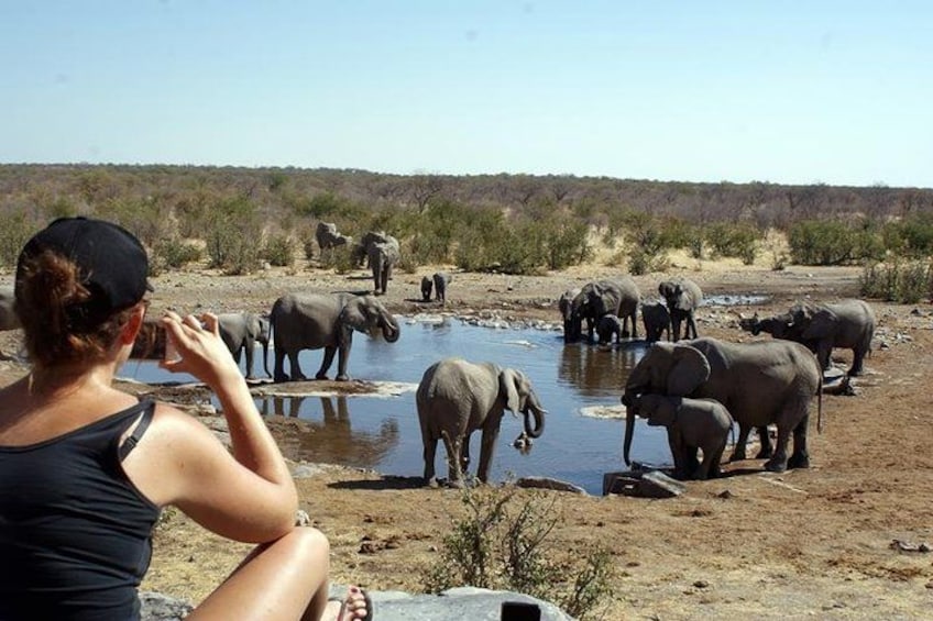 3 Day Etosha Budget Camping Safari 1