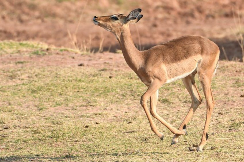 3 Day Etosha Budget Camping Safari 2