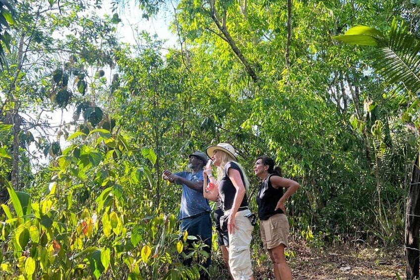 Private Belize Cave Tubing & Howler Monkey Sanctuary Combo Tour with Lunch 5