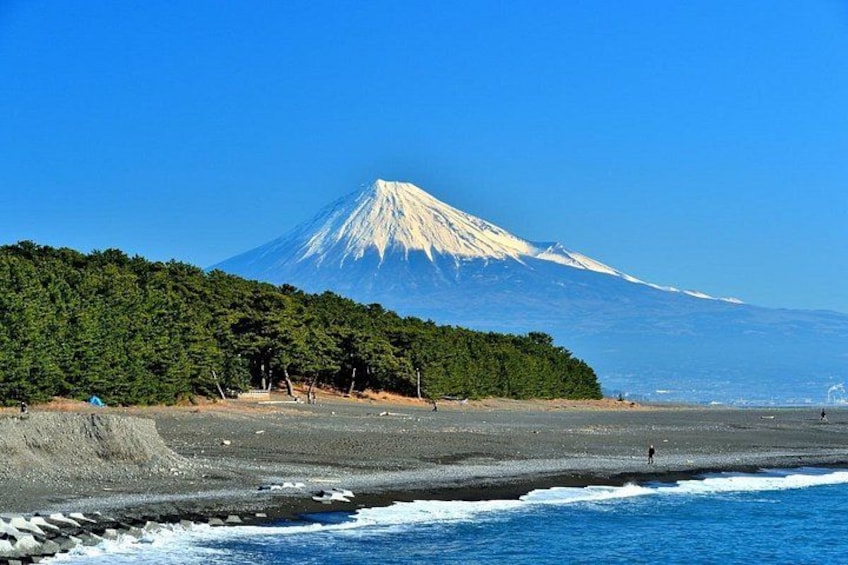 Shimizu Shore Excursion: Fuji View Car Tour, Licensed Guide 2