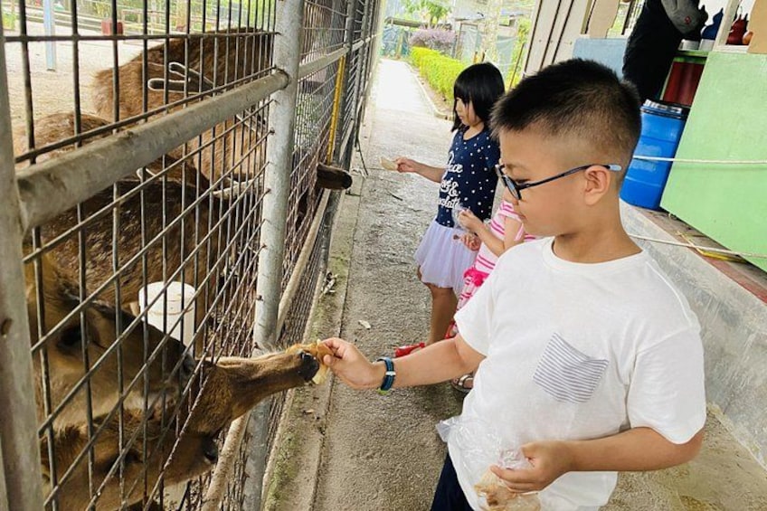Eco Farm 5