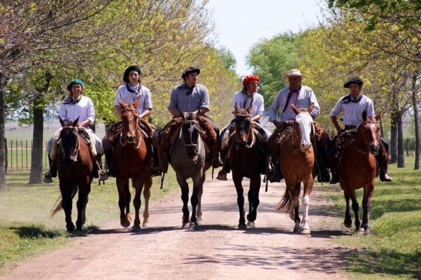 A group of people riding horses on a dirt path surrounded by trees. 1