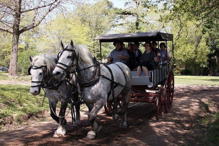 Un carruaje tirado por caballos con pasajeros circulando por un camino de tierra rodeado de árboles. 1