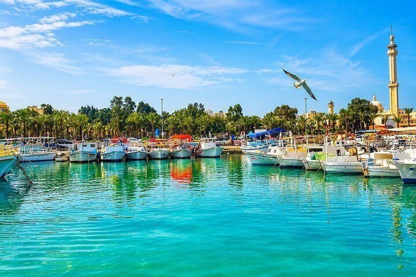 A marina with boats, a mosque, and palm trees. 2