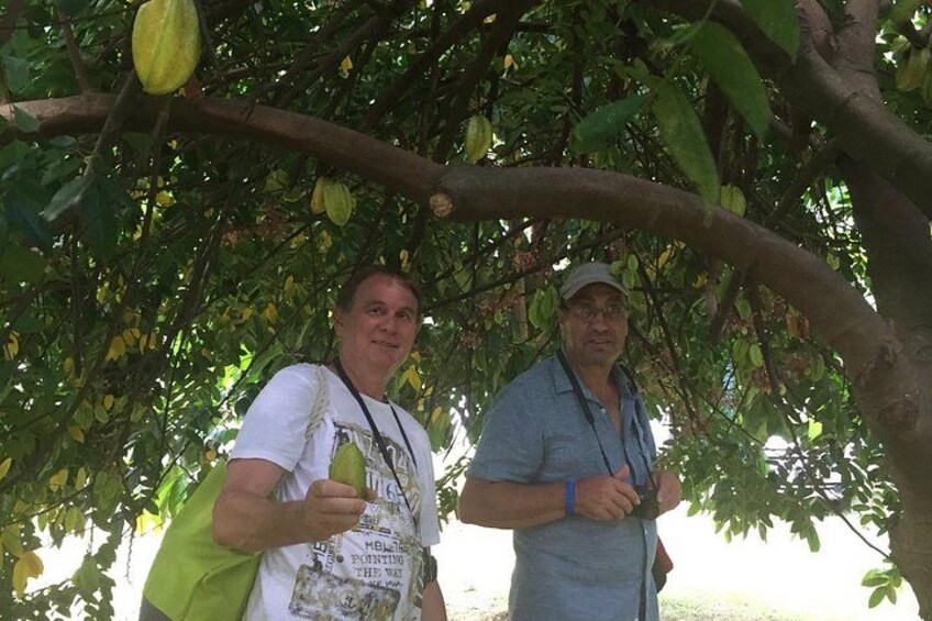 Day Trip to Pitch Lake Caroni Swamp in Trinidad from Tobago 5