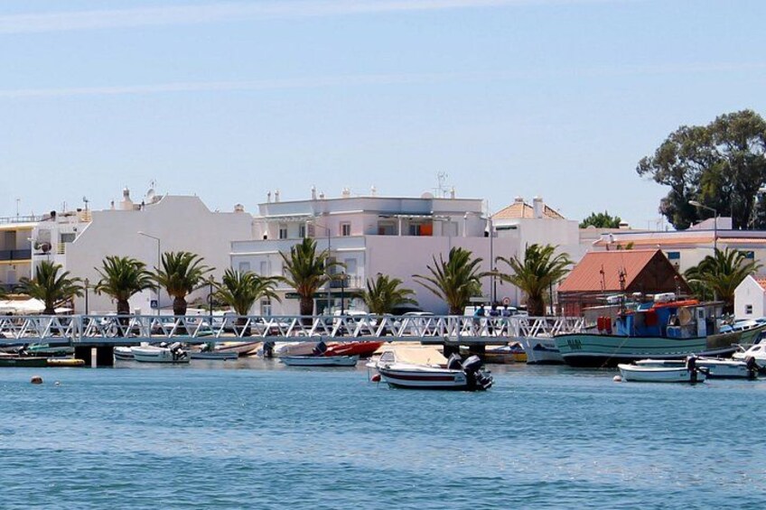 Octopus Route: Half Day Boat Trip 2