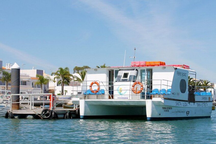 Octopus Route: Half Day Boat Trip 2
