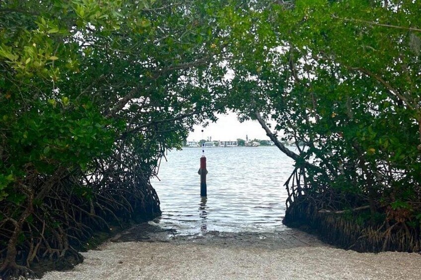 The launch site at Ted Sperling Park is small but the mangroves and the area we explore near the launch site is vast. 3