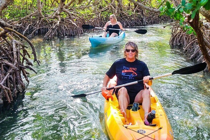 Paddling through the famous Lido Mangrove Tunnels is something you never forget. 1