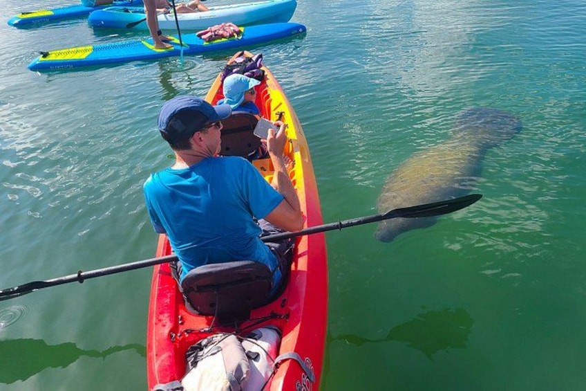 Una persona en un kayak rojo sobre aguas tranquilas, una pala y un pez grande al fondo. 2
