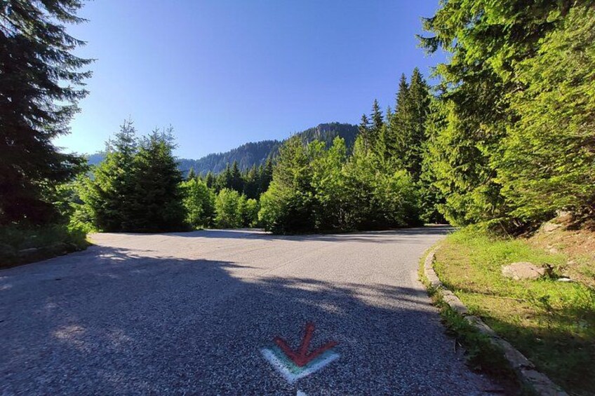 Private Full Day Cycling Tour in the Rhodope Mountains from Plovdiv 5