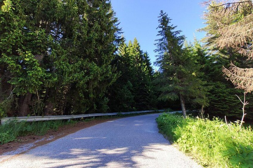 Private Full Day Cycling Tour in the Rhodope Mountains from Plovdiv 4