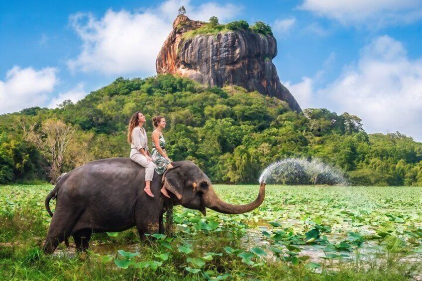 Sigiriya & Dambulla Full-Day Tour from Colombo or Negombo 2