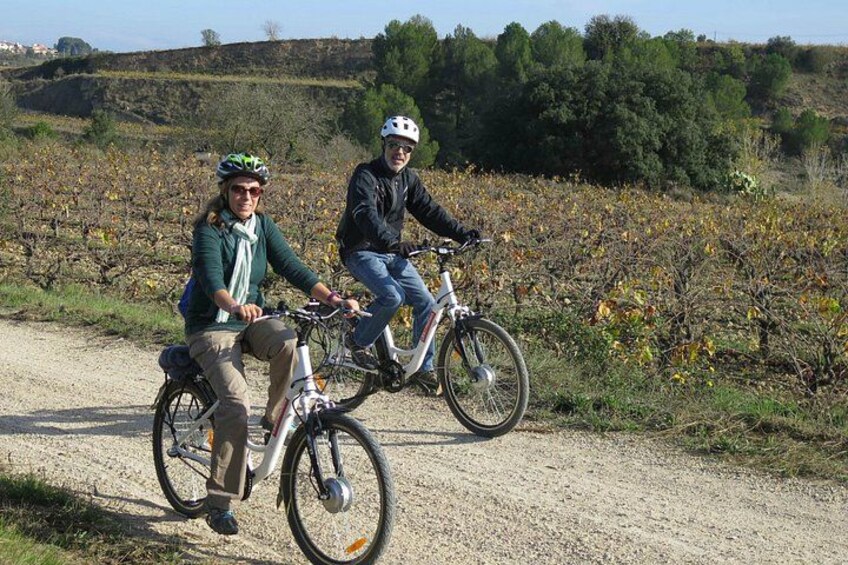Electric Bicycle Route And Wine Tasting 1
