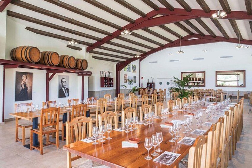 Electric Bicycle Route And Wine Tasting 3