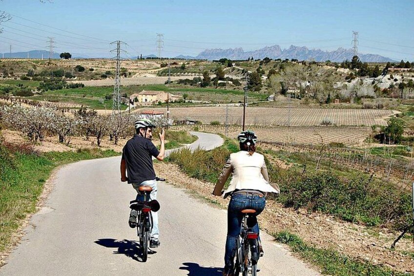 Electric Bicycle Route And Wine Tasting 2