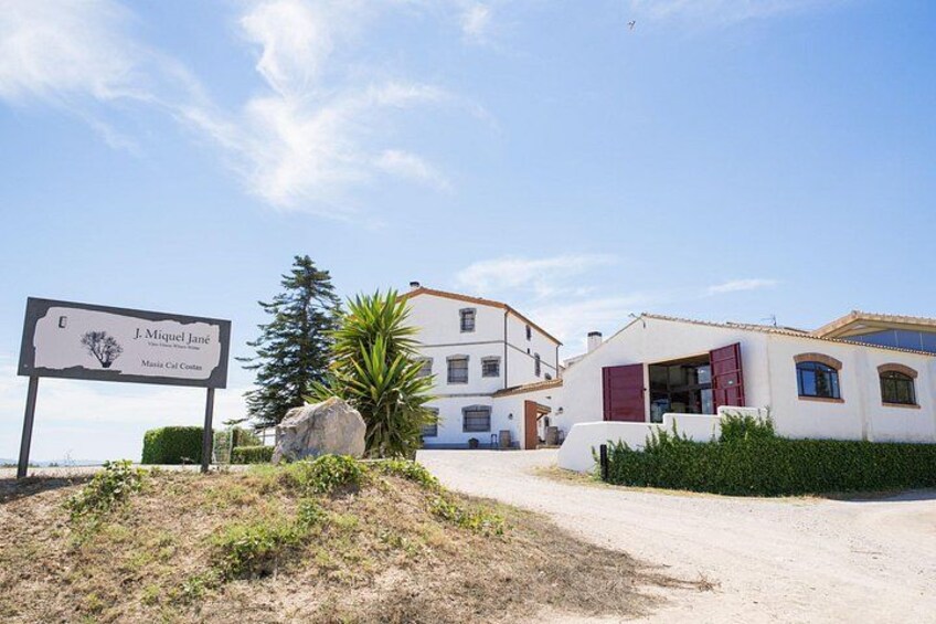 Electric Bicycle Route And Wine Tasting 2