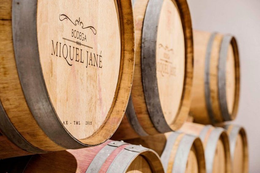 Electric Bicycle Route And Wine Tasting 4