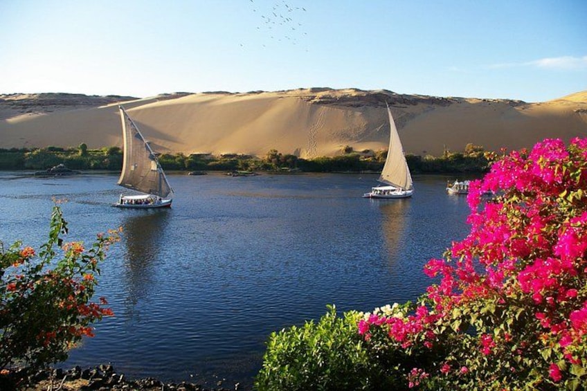 Aswan 5