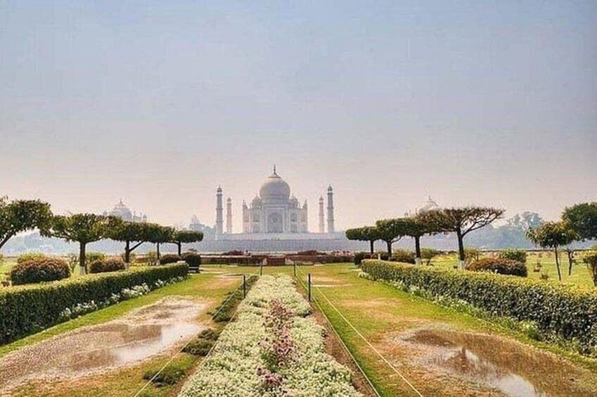 View of Taj Mahal from Mehtab Bagh gardens 4
