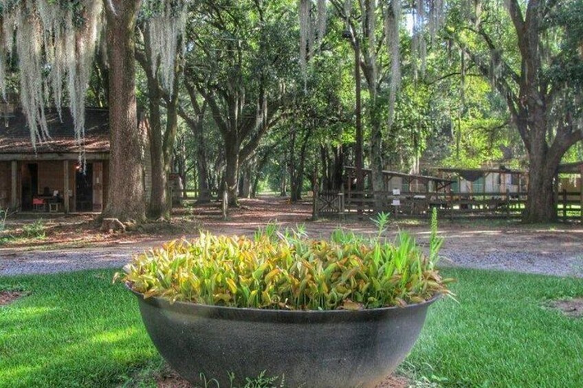 A large planter with green plants, a wooden fence, and a building with a porch in a wooded area. 2