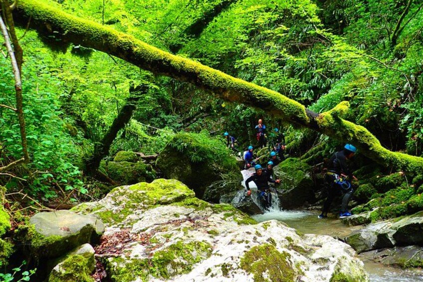 Canyoning sensation of Angon on the shores of Lake Annecy 4