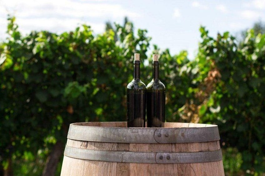Dos botellas de vino sobre un barril de madera, con un viñedo al fondo. 2