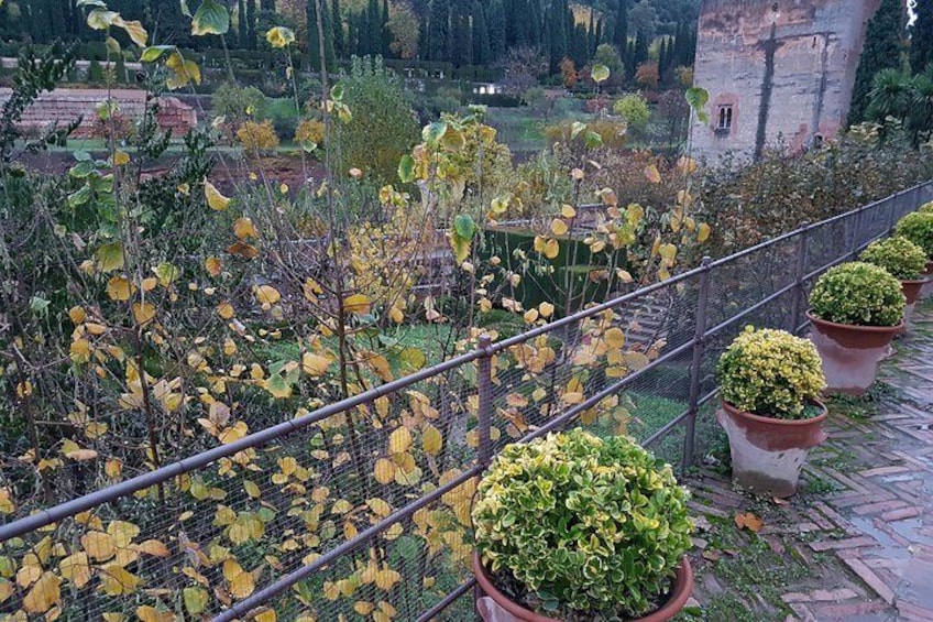 Alhambra Tour: Sultan Palace ,Gardens and Towers 4