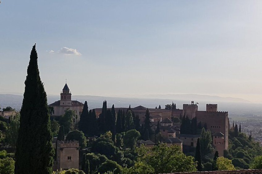 Alhambra Tour: Sultan Palace ,Gardens and Towers 3