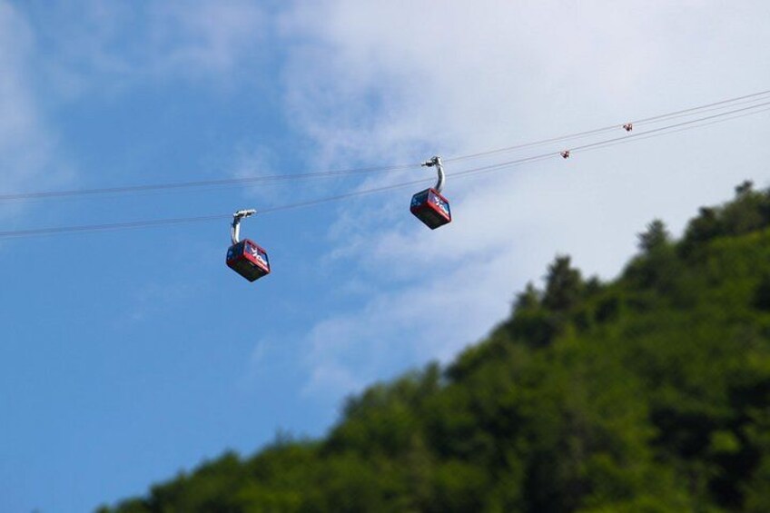 Two cable cars suspended above a forested hill. 3