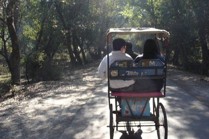 A cart with two people, a dirt path, and trees. 2