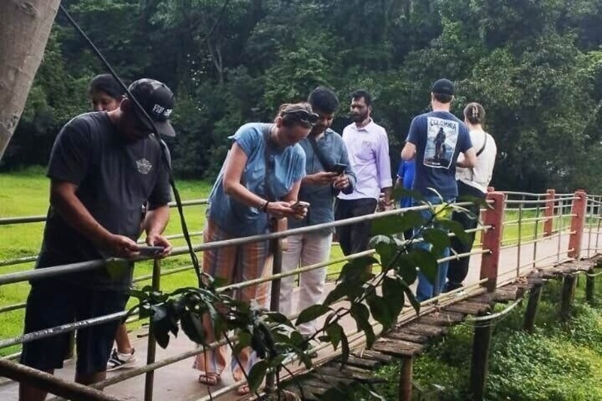 Old Goa Churches, Temples & Spice Plantation With "Goan" Lunch 3