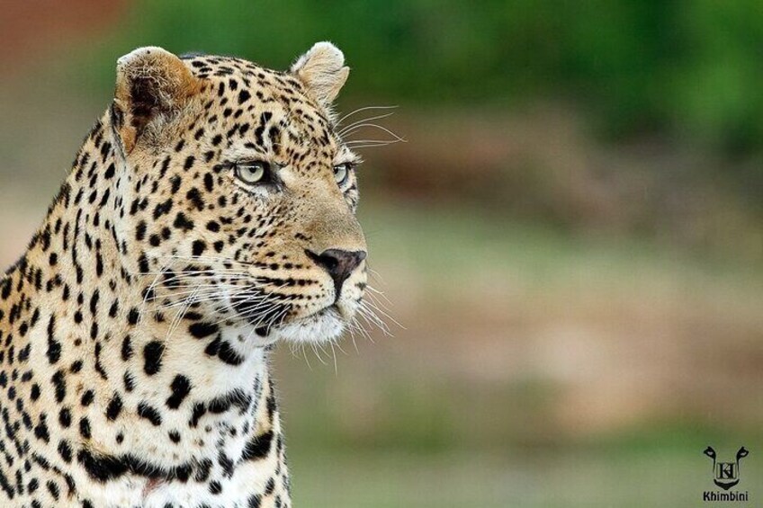 5 Day Kruger Park Classic Safari